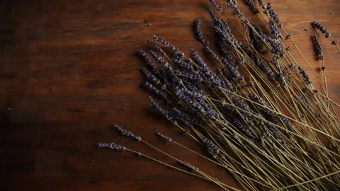 Lavender flowers. Stock Footage 144009382