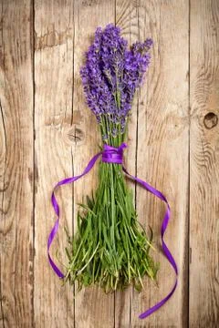 Lavender flowers Stock Photos