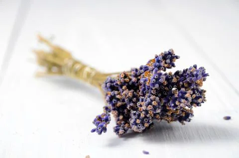Lavender flowers Stock Photos