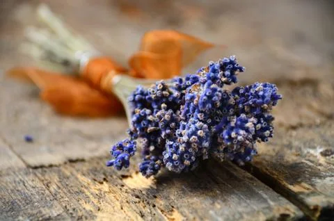 Lavender flowers Foto stock