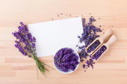 Lavender flowers Stock Photos