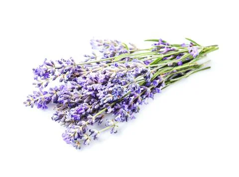 Lavender flowers Foto stock