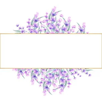 Lavender flowers in a rectangular gold frame. Hand-drawn watercolor illustration Stock Illustration