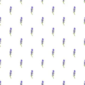 Lavender flowers repeating pattern on white background Stock Illustration