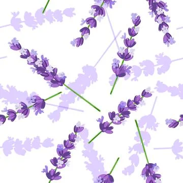 Lavender flowers vector seamless pattern Stock Illustration