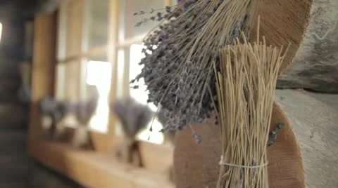 Lavender 库存影片 21239453