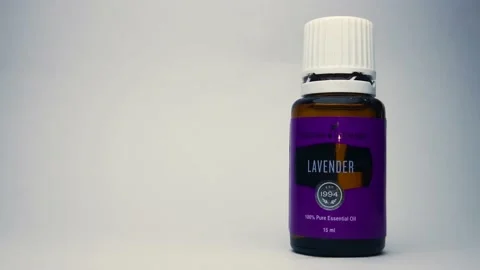 LAVENDER Stock Footage 143096681