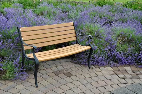 Lavender garden bench Foto stock