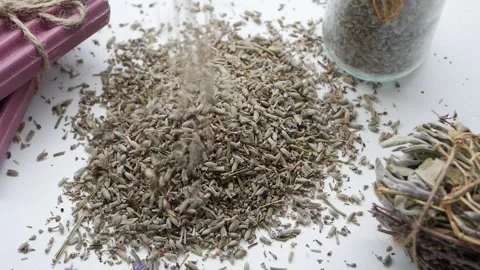 Lavender harvest process in small kitchen space Stock Footage 340863481