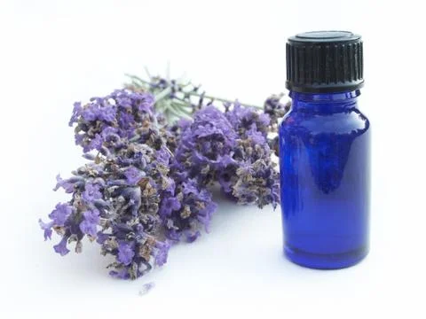 Lavender with herb Stock Photos