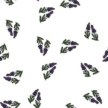 Lavender herb vector seamless pattern Stock Illustration