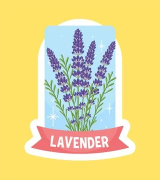 Lavender Illustration with Pastel Background Stock Illustration