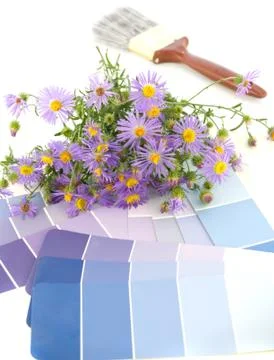 Lavender interior decoration plan Stock Photos