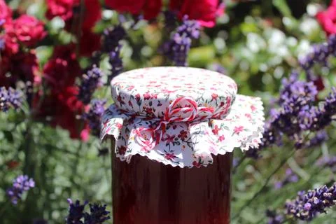 Lavender jelly Stock Photos