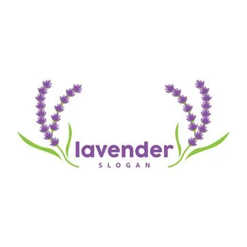 Lavender Logo, Simple Elegant Purple Flower Plant Vector, Greeting Card Des.. Stock Illustration