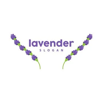 Lavender Logo, Simple Elegant Purple Flower Plant Vector, Greeting Card Des.. Stock Illustration