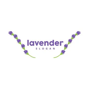 Lavender Logo, Simple Elegant Purple Flower Plant Vector, Greeting Card Des.. Stock Illustration