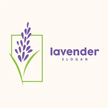 Lavender Logo, Simple Elegant Purple Flower Plant Vector, Greeting Card Des.. Stock Illustration