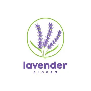 Lavender Logo, Simple Elegant Purple Flower Plant Vector, Greeting Card Des.. Stock Illustration