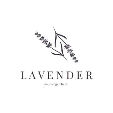 Lavender Logo, Simple Elegant Purple Flower Plant Vector, Greeting Card Des.. Stock Illustration