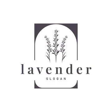 Lavender Logo, Simple Elegant Purple Flower Plant Vector, Greeting Card Des.. Stock Illustration