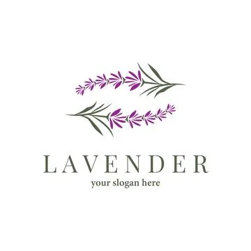 Lavender Logo, Simple Elegant Purple Flower Plant Vector, Greeting Card Des.. Stock Illustration