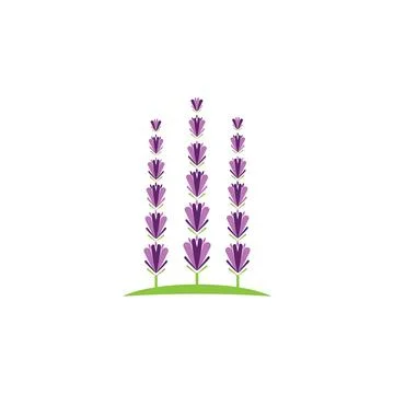 Lavender Logo Template vector symbol Stock Illustration