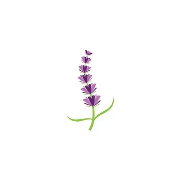 Lavender Logo Template vector symbol Illustration