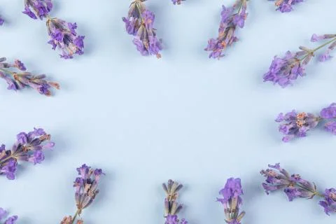 Lavender mock-up Foto stock