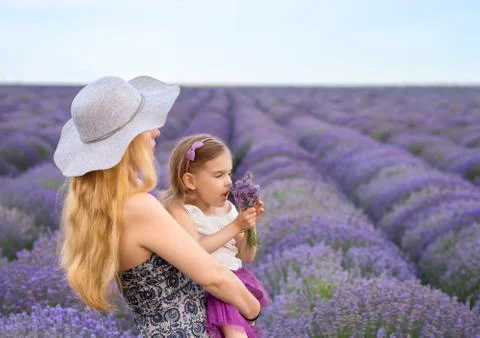 Lavender mood 写真素材