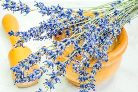 Lavender with mortar Stock Photos
