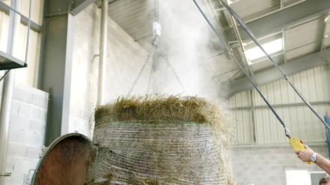 Lavender oil production process at the lavender factory in spring season Stock Footage 321625519