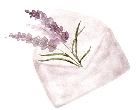 Lavender in an open mail envelope. Flower arrangement for stickers. Hand draw Stock Illustration