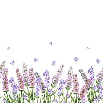 Lavender pattern border white watercolor Stock Illustration