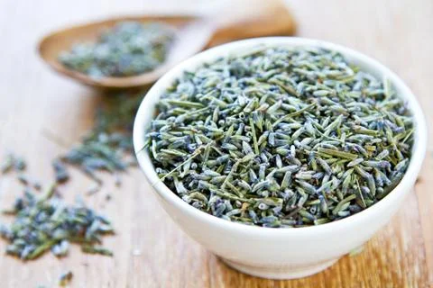 Lavender Stock Photos