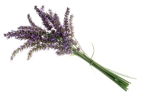 Lavender Stock Photos
