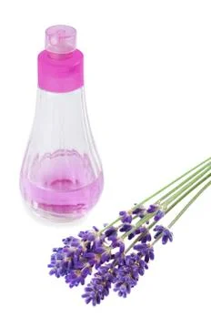 Lavender Stock Photos