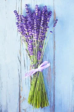 Lavender Stock Photos