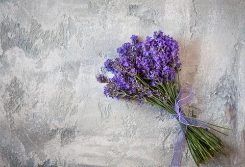 Lavender Stock-Fotos