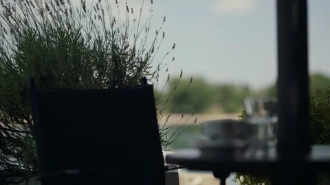 Lavender Plant on Outdoor Cafe Table at Jarun Stock Footage 337263530