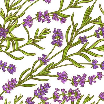 Lavender plant vector pattern Stock Illustration