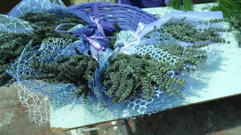 Lavender processing in bunches Stock Footage 114638221