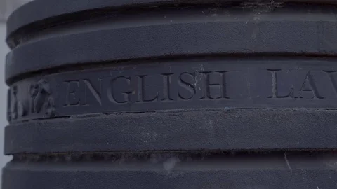 Lavender sculpture wallington sutton Stock Footage 116555226