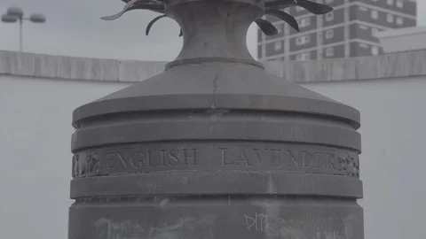 Lavender sculpture wallington sutton Video stock 116556288