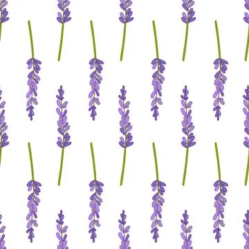 Lavender seamless doodle pattern, vector color illustration Illustrazione stock