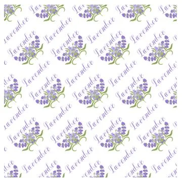 Lavender. Seamless pattern with flowers and the calligraphic word lavender on a Stock Illustration