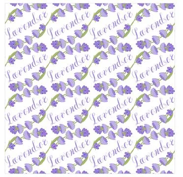 Lavender. Seamless pattern with flowers and the calligraphic word lavender on a Stock Illustration