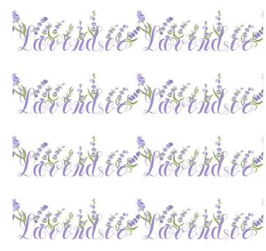 Lavender. Seamless pattern with flowers and the calligraphic word lavender on a Stock Illustration