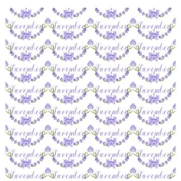 Lavender. Seamless pattern with flowers and the calligraphic word lavender on a Stock Illustration