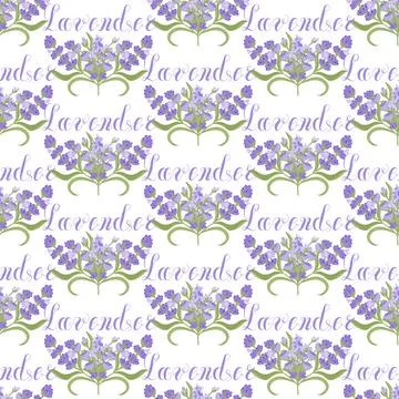 Lavender. Seamless pattern with flowers and the calligraphic word lavender on a Stock Illustration